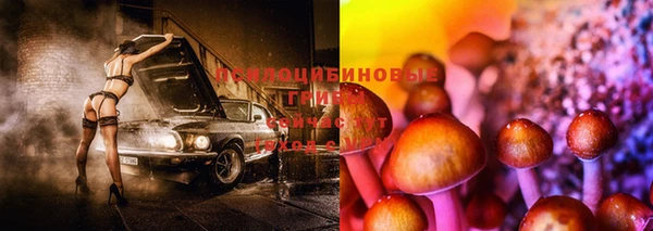 дурь Верхний Тагил